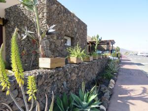 a stone wall with potted plants on the side of a building at Casa Burgos in Corralejo