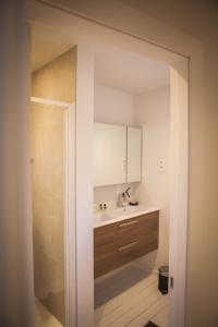 een badkamer met een wastafel en een douche bij Huis ALNA 1 in Mechelen