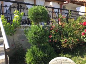 a garden with bushes and flowers on a balcony at Casa dei fiori in Asprovalta