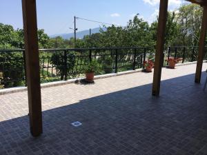 a balcony with a black railing and potted plants at Casa dei fiori in Asprovalta +85 photos