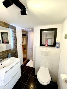 Łazienka z białą toaletą i umywalką w obiekcie Au pied des remparts à Eguisheim w mieście Eguisheim