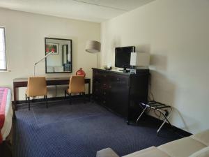 TV a/nebo společenská místnost v ubytování Hotel Pigeon Forge