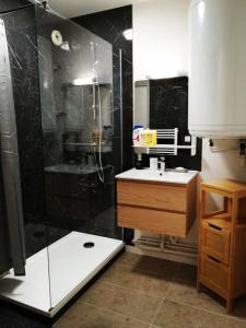 ein Bad mit einer Dusche und einem Waschbecken in der Unterkunft Appartement Cosy Proche Gare - Fibre Optique et Parking in Angoulême