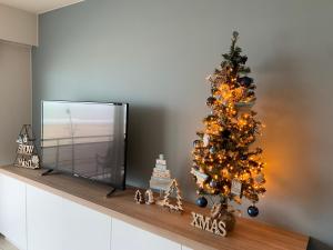 a christmas tree sitting on a mantle next to a television at LECOMTE Zeedijk Blankenberge in Blankenberge