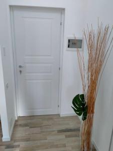 a hallway with a door and a vase with a plant at suite room malpensa b&b in Cardano al Campo