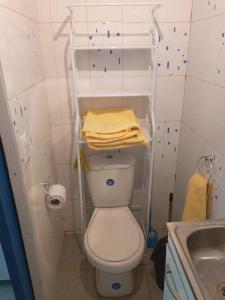 a small bathroom with a white toilet and a sink at Terminal Pajarito in Santiago