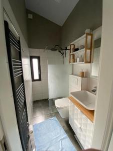 a bathroom with a toilet and a sink at Ferienhaus Bergliebe in Willingen in Willingen