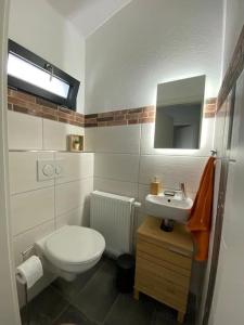a small bathroom with a toilet and a sink at Ferienhaus Bergliebe in Willingen in Willingen