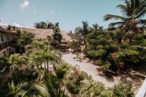 Zahrada ubytování La Diosa Kali Beach Front Hotel