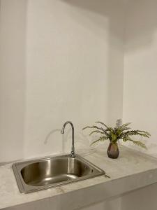 a kitchen sink with a potted plant on a counter at Luka House in Lam Luk Ka