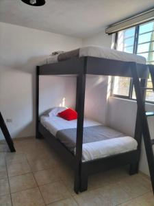 1 dormitorio con 2 literas y ventana en Hostal San Bernabé en Guanajuato
