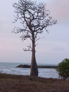 Fotografie z fotogalerie ubytování Morada Ítaca - Arboletes v destinaci Arboletes