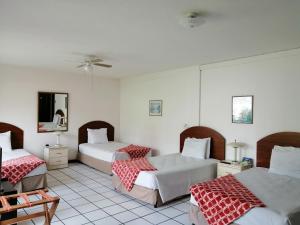 Gallery image of Novohostal B&B in Guatemala