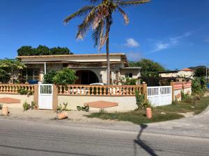 a house with a fence and a palm tree at Aruba Backpackers in Oranjestad