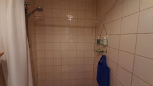 a bathroom with a shower with a blue umbrella at Aruba Backpackers in Oranjestad +59 photos