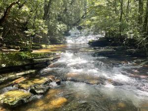 Paesaggio naturale nelle vicinanze del campeggio