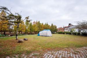 和風民宿室外花園