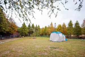 和風民宿室外花園
