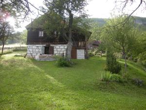 Příroda nedaleko apartmánu