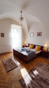 1 dormitorio grande con 1 cama grande y 2 alfombras en Theatroom Apartman, en Eger