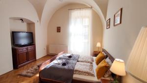 sypialnia z dużym łóżkiem i telewizorem w obiekcie Theatroom Apartman w Egerze