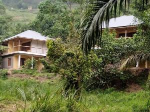 ein Haus auf einem Hügel mit einer Palme in der Unterkunft Nshongi Camp in Rubuguli + 31 Fotos