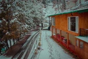 THEHIMALAYANLIVING WHISTLING PINES v zimě