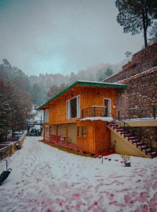 THEHIMALAYANLIVING WHISTLING PINES v zimě