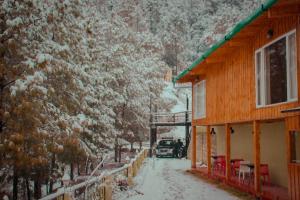 THEHIMALAYANLIVING WHISTLING PINES v zimě