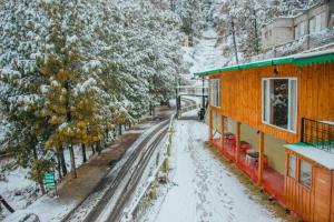 THEHIMALAYANLIVING WHISTLING PINES v zimě