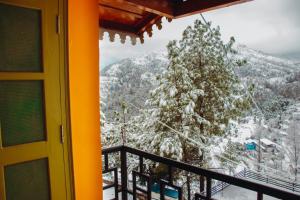 THEHIMALAYANLIVING WHISTLING PINES v zimě