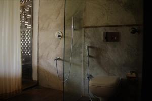 a bathroom with a shower and a toilet at Lotus Sutra in Arambol