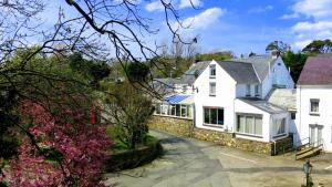 Gallery image of Ivybridge Guesthouse in Fishguard