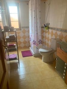 a bathroom with a toilet and a sink at Chalet Individual en Vargas, Cantabria in Vargas