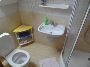 y baño con aseo, lavabo y ducha. en Privat Podlesom, en Kežmarok