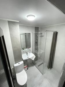 a bathroom with a toilet and a shower and a sink at Complex Carol in Buzău