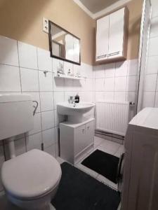 La salle de bains blanche est pourvue de toilettes et d'un lavabo. dans l'établissement Eichis Landliebe, à Malchin