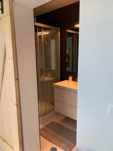 Koupelna v ubytování Prachtige gastsuite in Ranst "Studio 34"