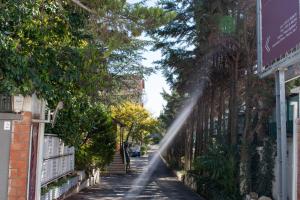 Fotografie z fotogalerie ubytování Hotel Epidami v destinaci Kashari