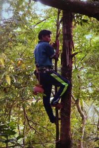 Photo de la galerie de l'établissement Kandy Nature Resort, à Ampitiya