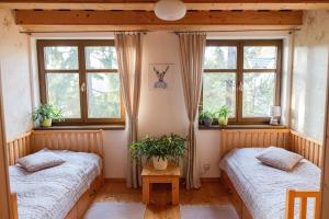 two beds in a room with two windows at Chata u Gregora v Slovenskom raji in Smižany