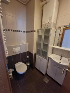 mała łazienka z toaletą i umywalką w obiekcie APARTMAN DOKOZA FREE PARKING w mieście Zadar