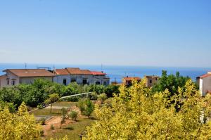 grupa domów i drzew z oceanem w tle w obiekcie Hotel Villa Fernanda w mieście Massa Lubrense