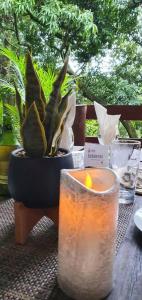 a table with a candle and a potted plant at Lidwala Lodge in Ezulwini
