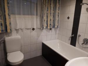 a bathroom with a toilet and a tub and a sink at Apartment Selina by Interhome in Kappl +21 photos