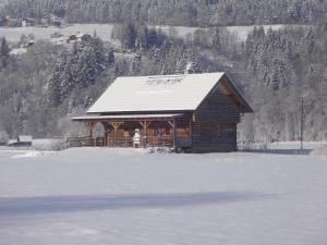 Chalet Steiners Blockhütte by Interhome v zime