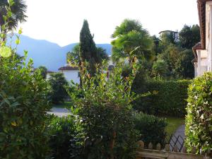 a view of the garden from the house at Apartment Collina Verde B by Interhome in Ascona +12 photos