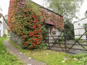 um edifício coberto de hera com um portão e flores em Holemire Barn em Cockermouth