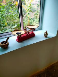 a window sill with two seats and a window with plants at Gîte hicking bas in Xá Xá