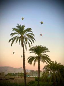 two palm trees with kites flying in the sky at White Villa in Luxor